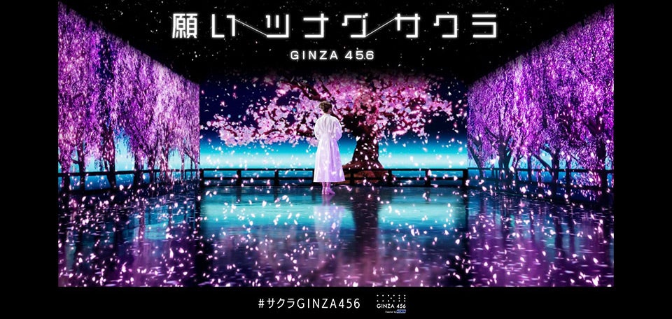 幻想的な世界に没入できるお花見体験！GINZA 456の「願いツナグサクラ
